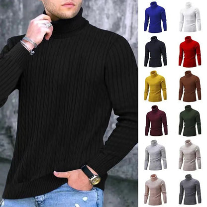 Turtleneck Sweaters Autumn Winter Male Long Sleeve Knitted Slim Twist Pullover Sweaters ZJFS-1515*04