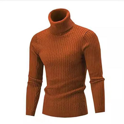 Turtleneck Sweaters Autumn Winter Male Long Sleeve Knitted Slim Twist Pullover Sweaters ZJFS-1515*04