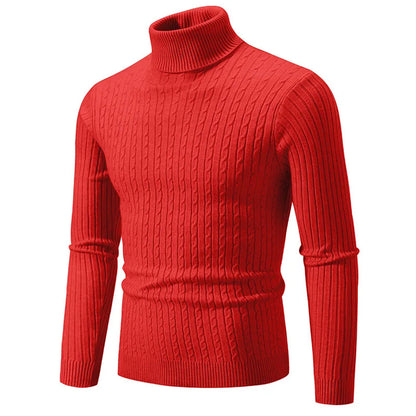 Turtleneck Sweaters Autumn Winter Male Long Sleeve Knitted Slim Twist Pullover Sweaters ZJFS-1515*04